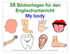 My-Body-Bild-Wort-Karten.pdf